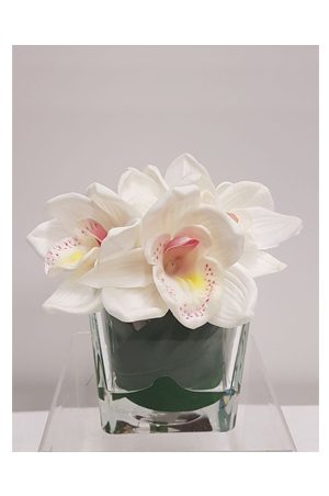 orchid in glass