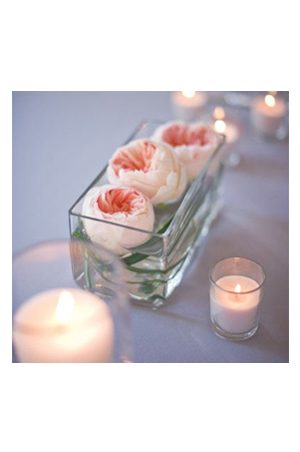 david austin rose in glass (pre-order)