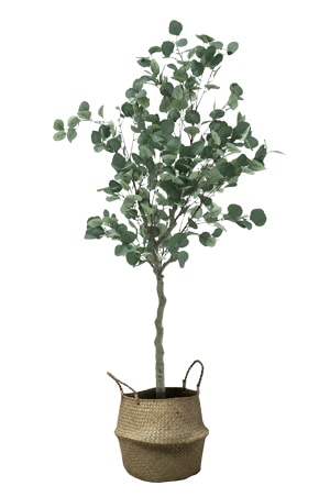 faux eucalyptus tree 160cm in woven basket