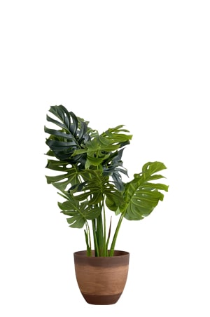 faux monstera tree 120cm in brown planter