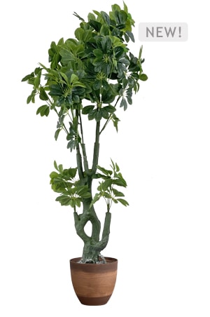 faux schefflera tree 170cm in brown planter