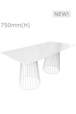 Birdcage Table & Long Top - White